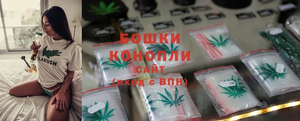сатива Нефтекумск