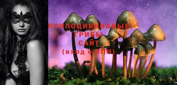 соль ск Нефтегорск