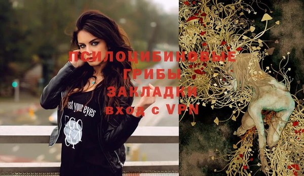 спиды Нея